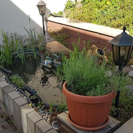 Apartment Gartenblick 노인키르헨 외부 사진