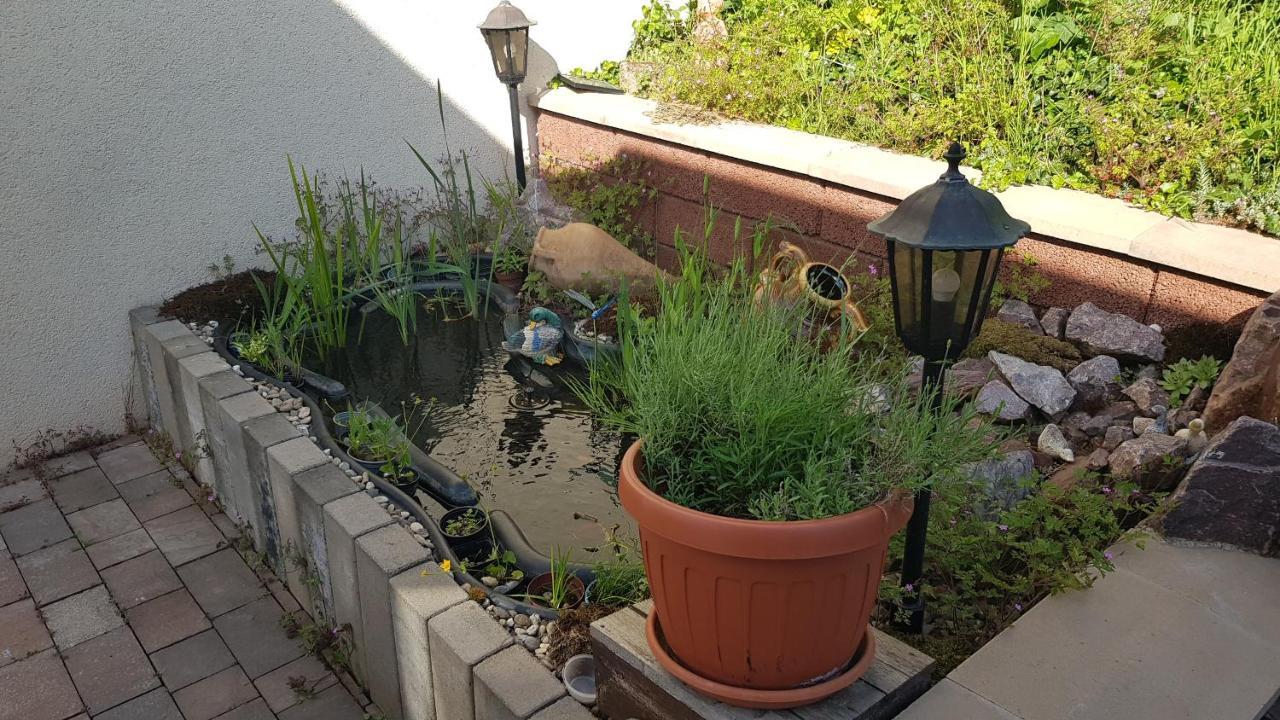 Apartment Gartenblick 노인키르헨 외부 사진